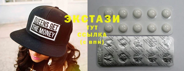 крисы Новозыбков