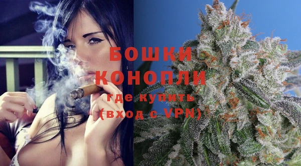 крисы Новозыбков