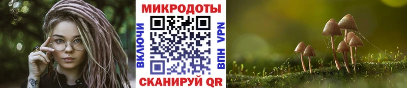 Галлюциногенные грибы мицелий  Вилючинск 