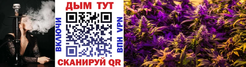 KRAKEN как зайти  Вилючинск  Бошки марихуана Ganja 